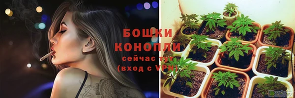 ешки Снежногорск