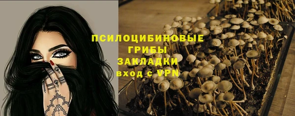 ешки Снежногорск