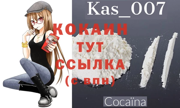 молекула духа Дмитров